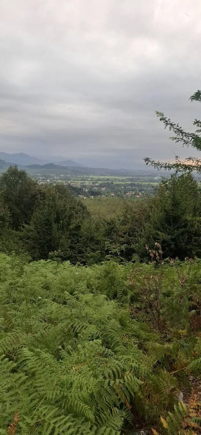 زمین ویودارجنگی باغی