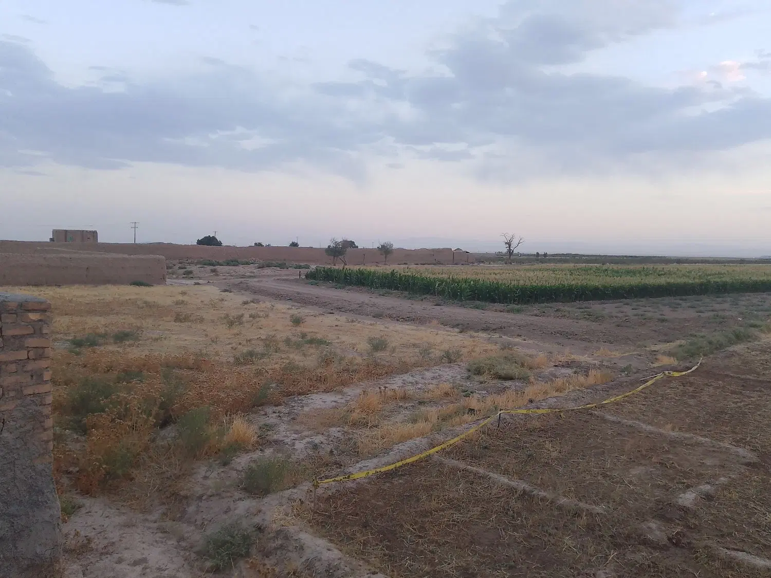 2ساعت آب +3000متر زمین زعفران 8 ساله