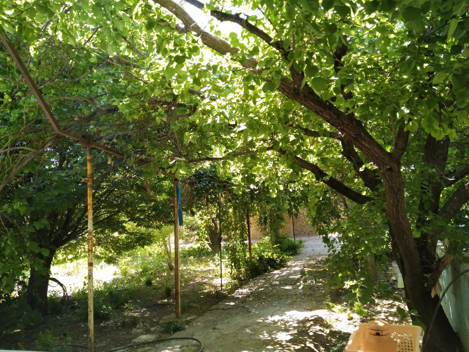 ویلا باغ