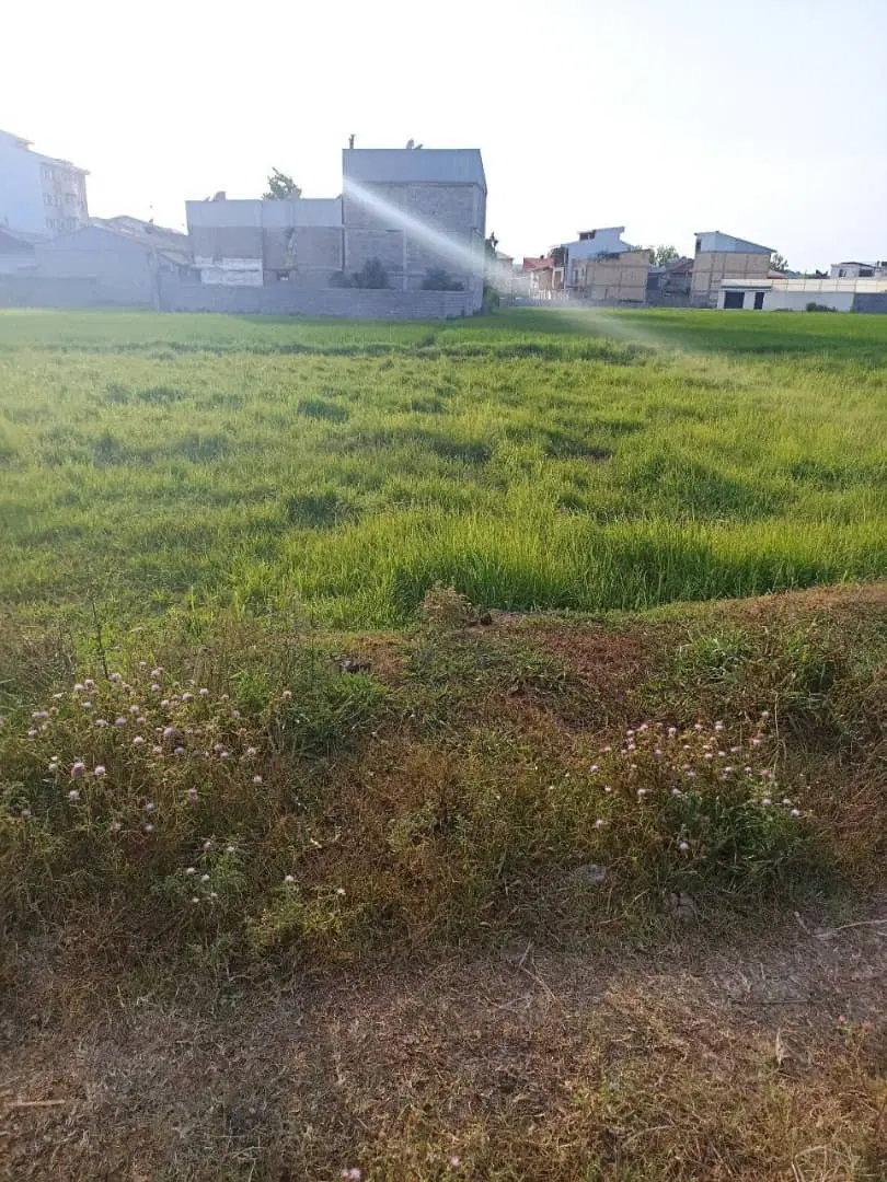 زمین  سند دار
