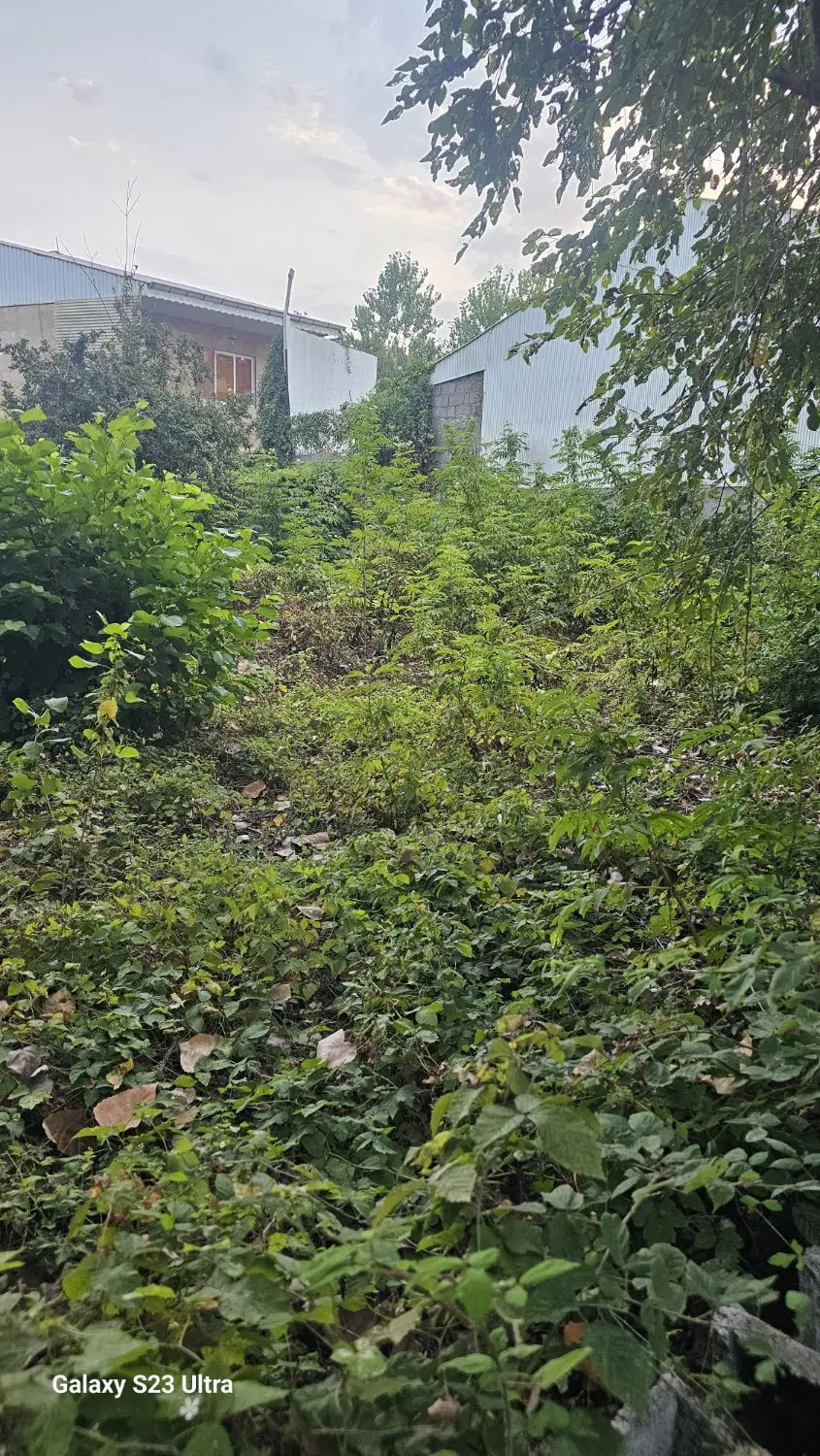 فروش زمین مسکونی ۳۵۰ متر لیجارکی منطقه آزادانزلی
