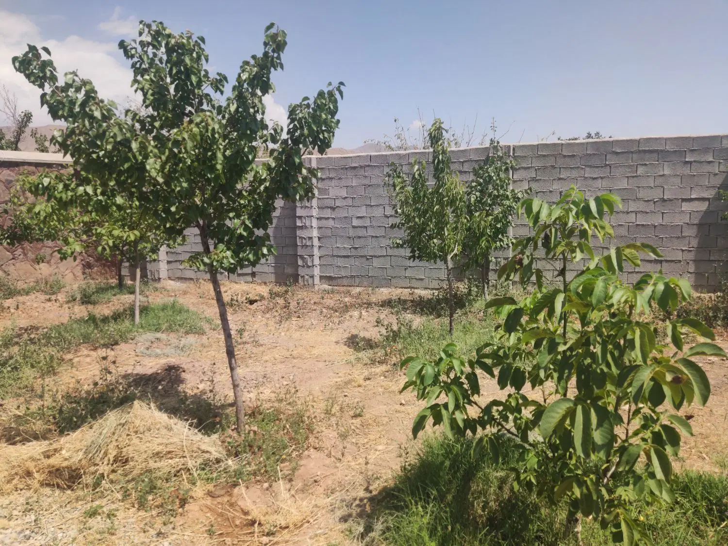 باغ سربندان