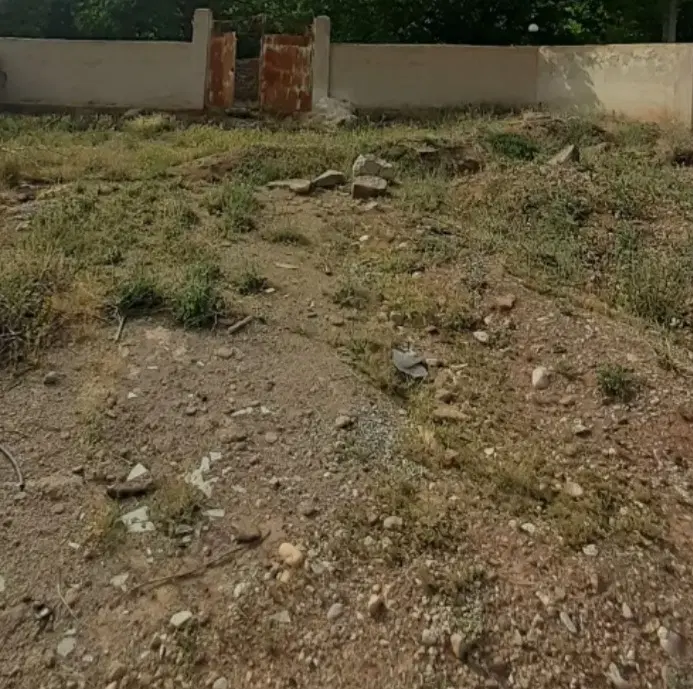 زمین ۳۰۰ متری چهار دیواری