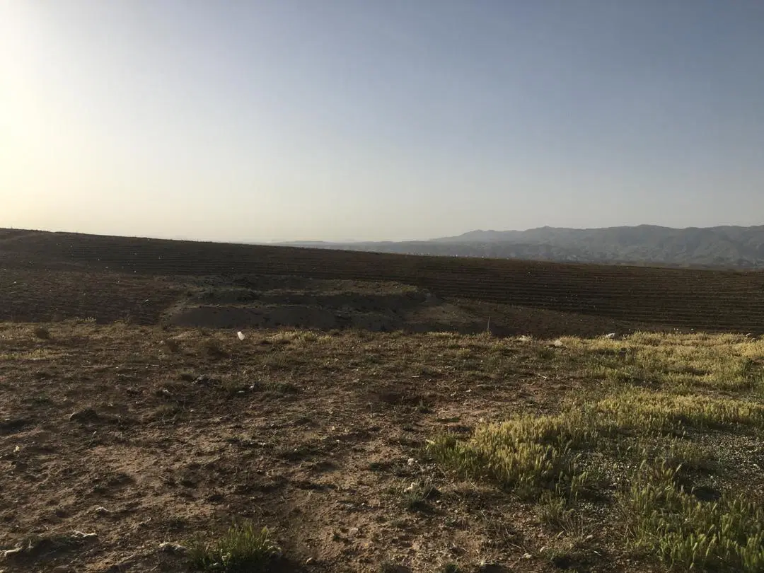 فروش زمین