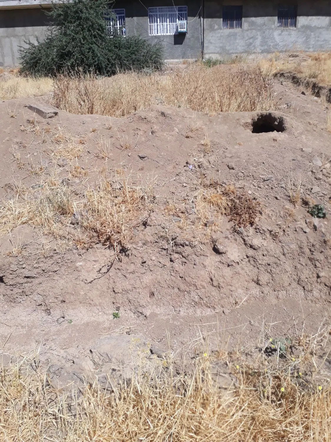 زمین مسکونی