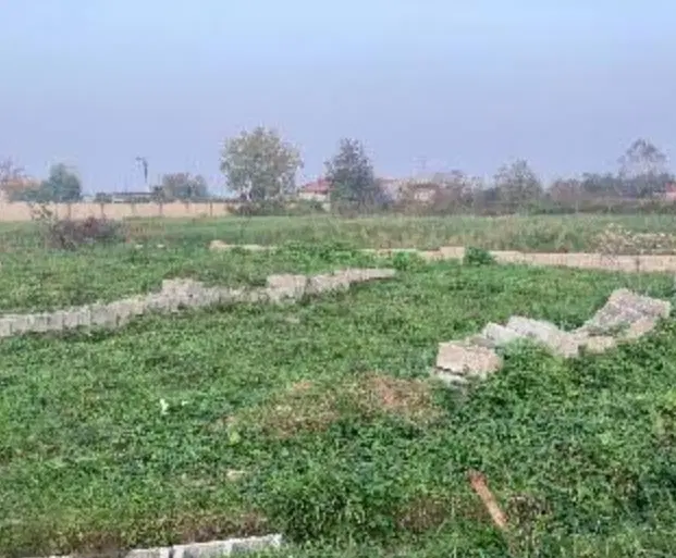 زمین کلنگی