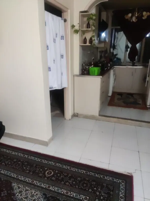 همخونه خانم