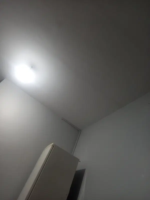 همخونه