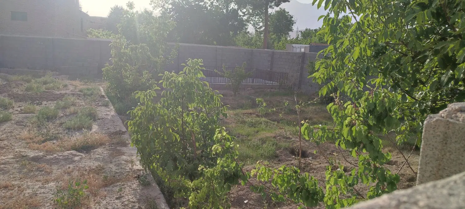 باغچه در روستای امیریه