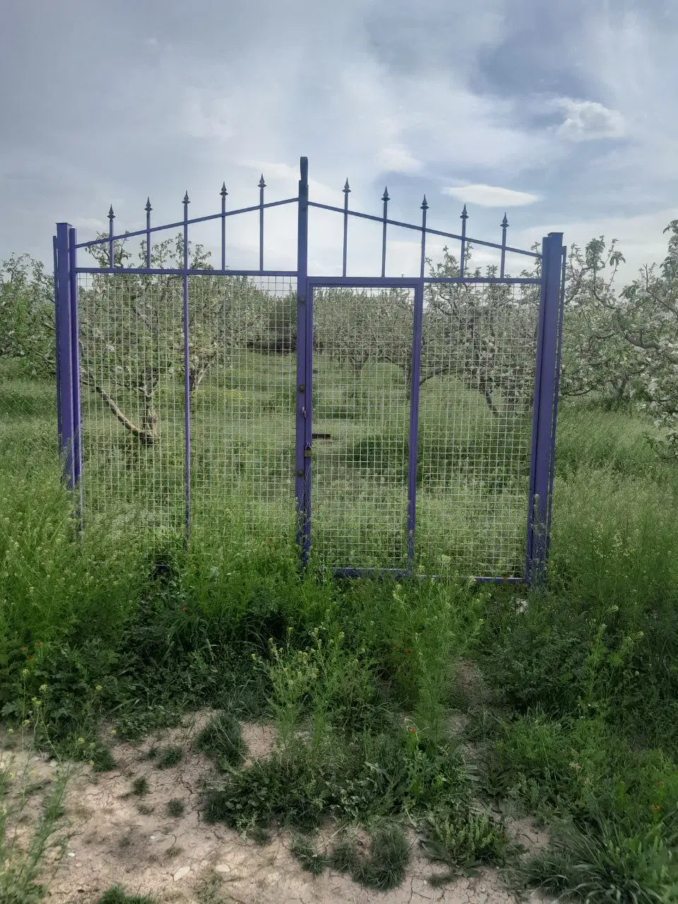 باغ قطره‌ای  گرنگاه کوی ویلا  سبز جنب پمپاژ