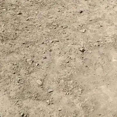زمین شرایطی
