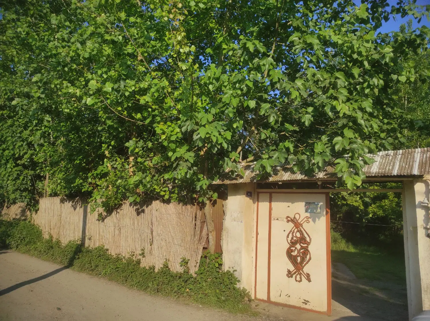 خانه ویلایی  با زمین