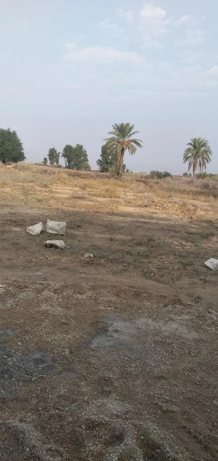 زمین ۲۳۰متری واقع درکوی مالکیه غربی کوی شیخ فیصل