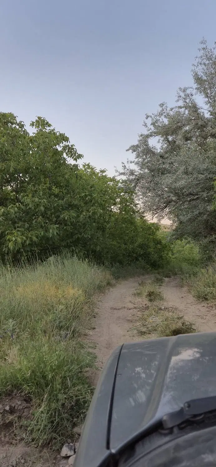 فروش حدود۱۱۰۰مترباغ گردو روستای گوشلان