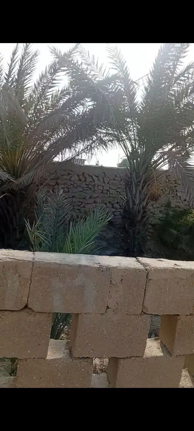 زمین 200متر روستای گورزین قدیم