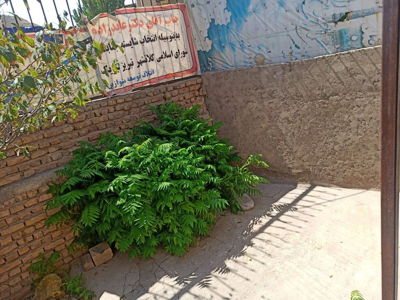 رهن و اجاره حیاط دربست اخر عباسی باغ‌میشه فهمیده