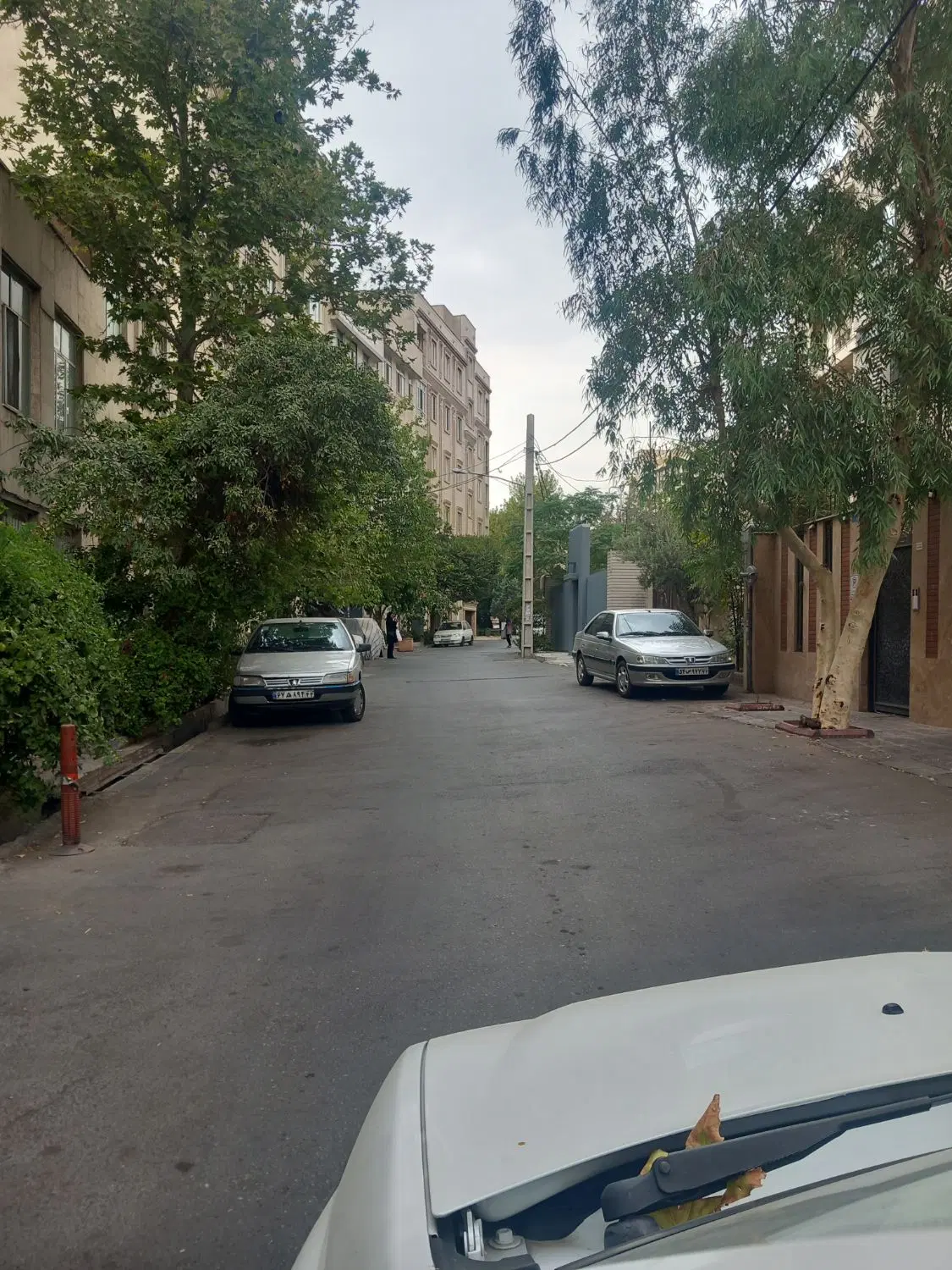 اجاره آپارتمان ۶۰ متری لطفعلی خانی