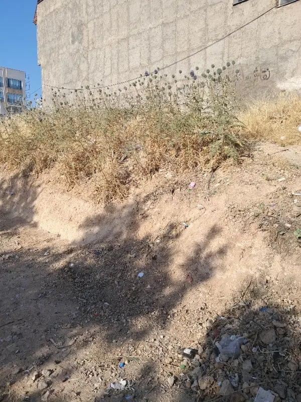 زمین ۲بر با موقعیت تجاری ملکی