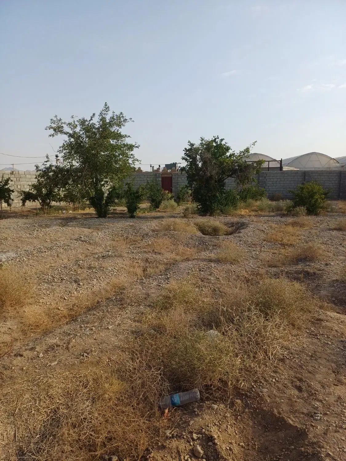 باغ  فروشی جلال آباد زیر قیمت کارشناسی