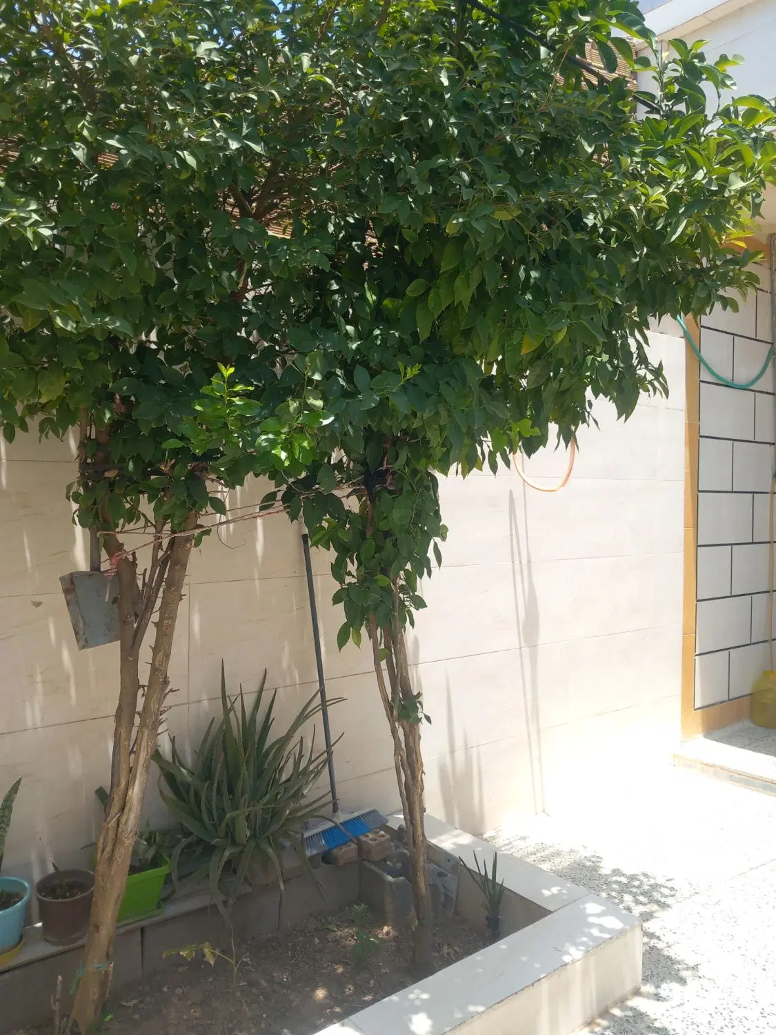 خونه ویلایی کلدوزخ دو