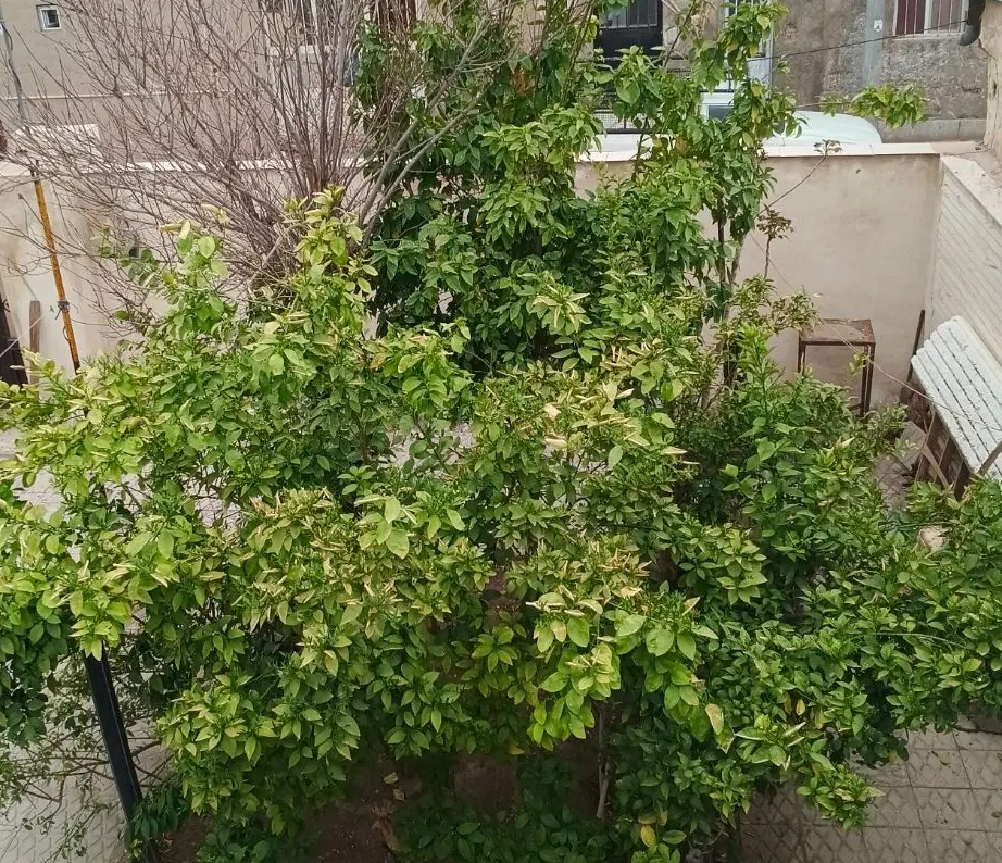 کرایه انبار