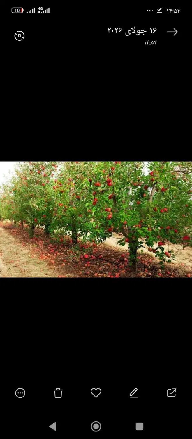 فروش خانه تجاری ومعاوضه باباغ