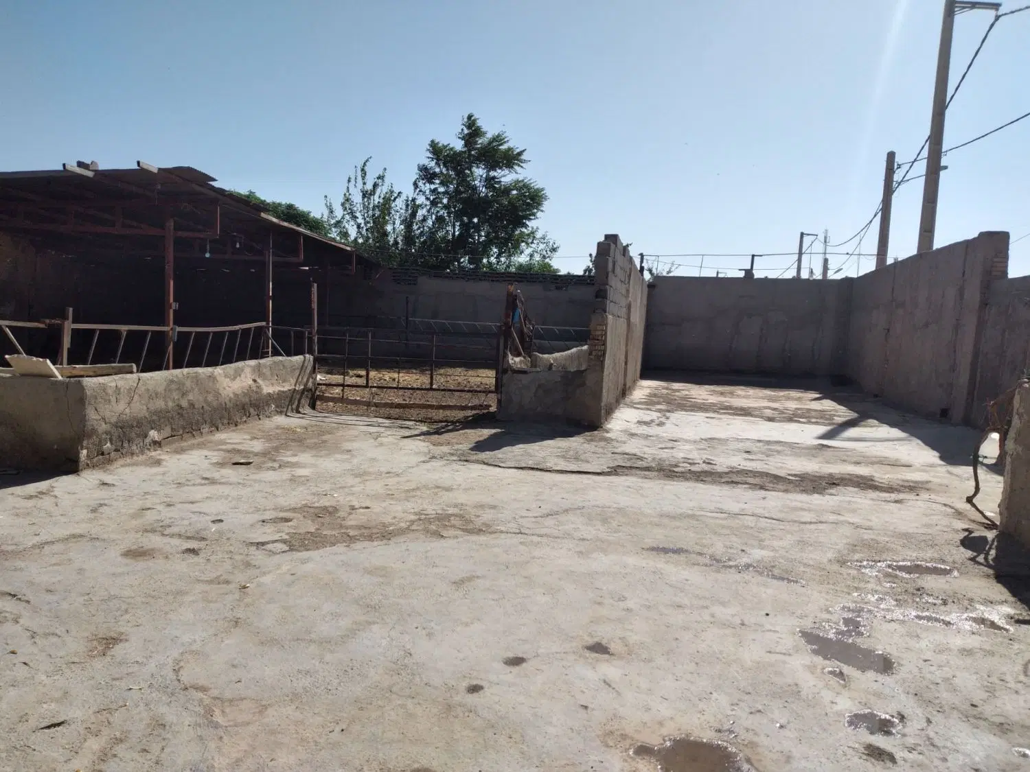 دامداری با خانه مسکونی