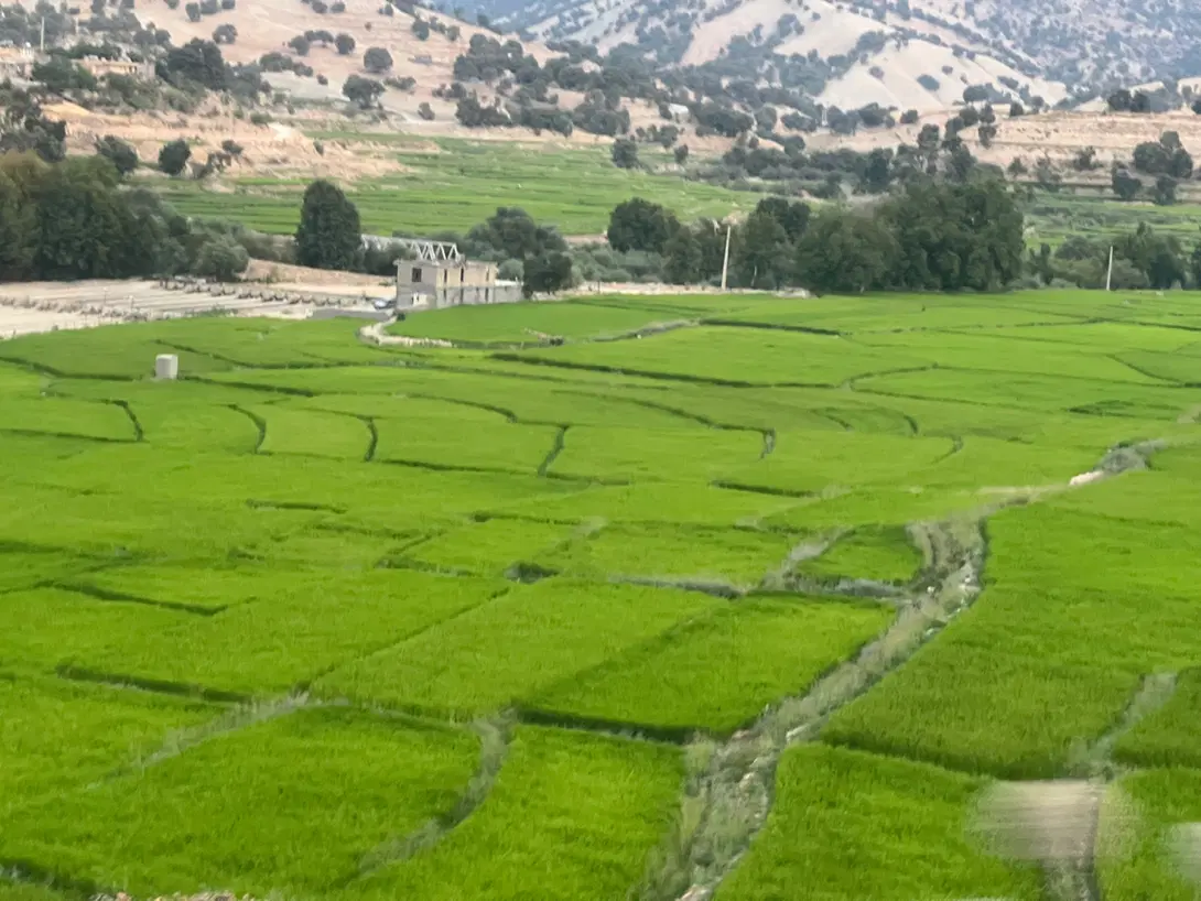 فروش زمین در بهرباغ