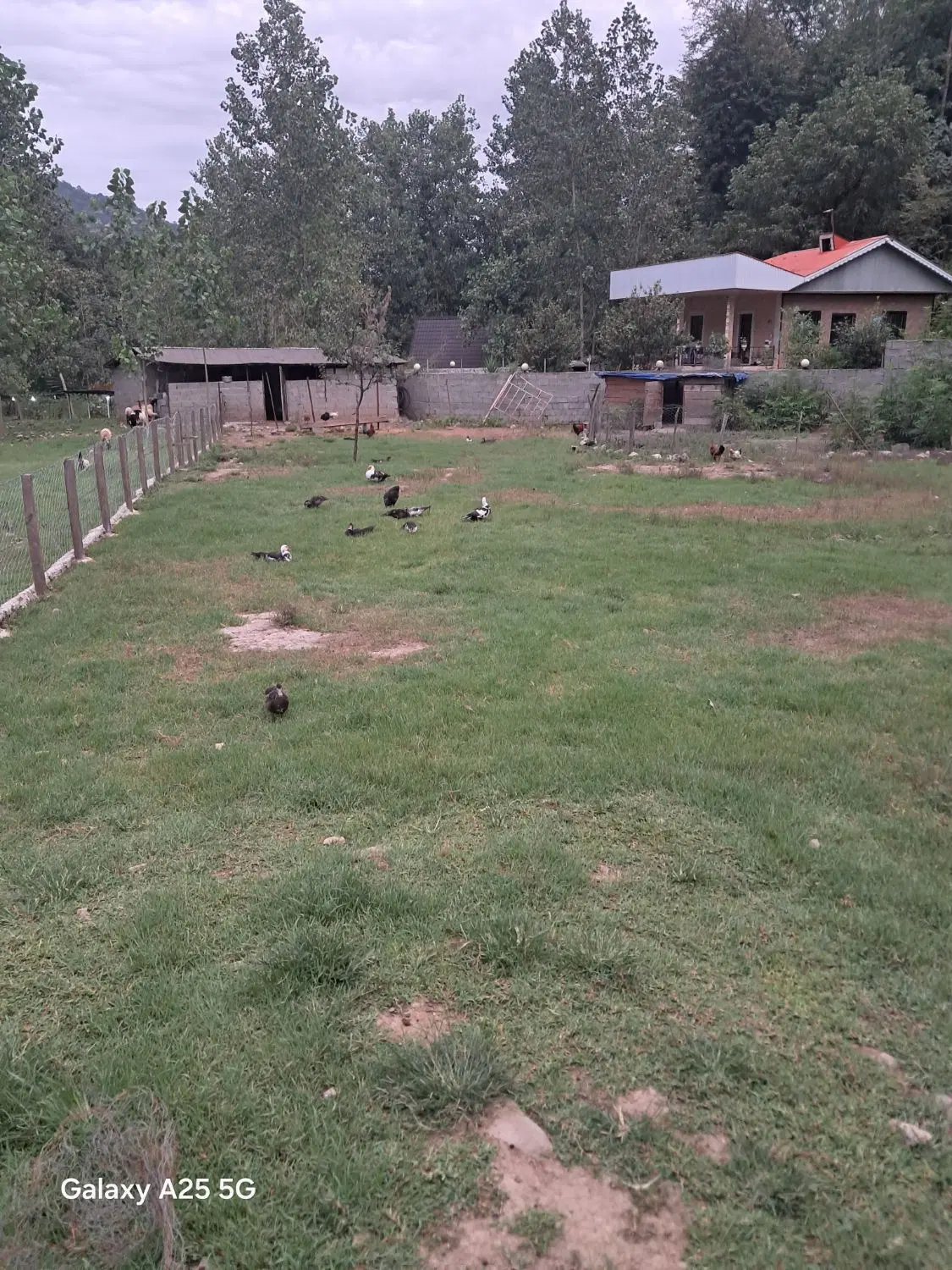 زمین مسکونی