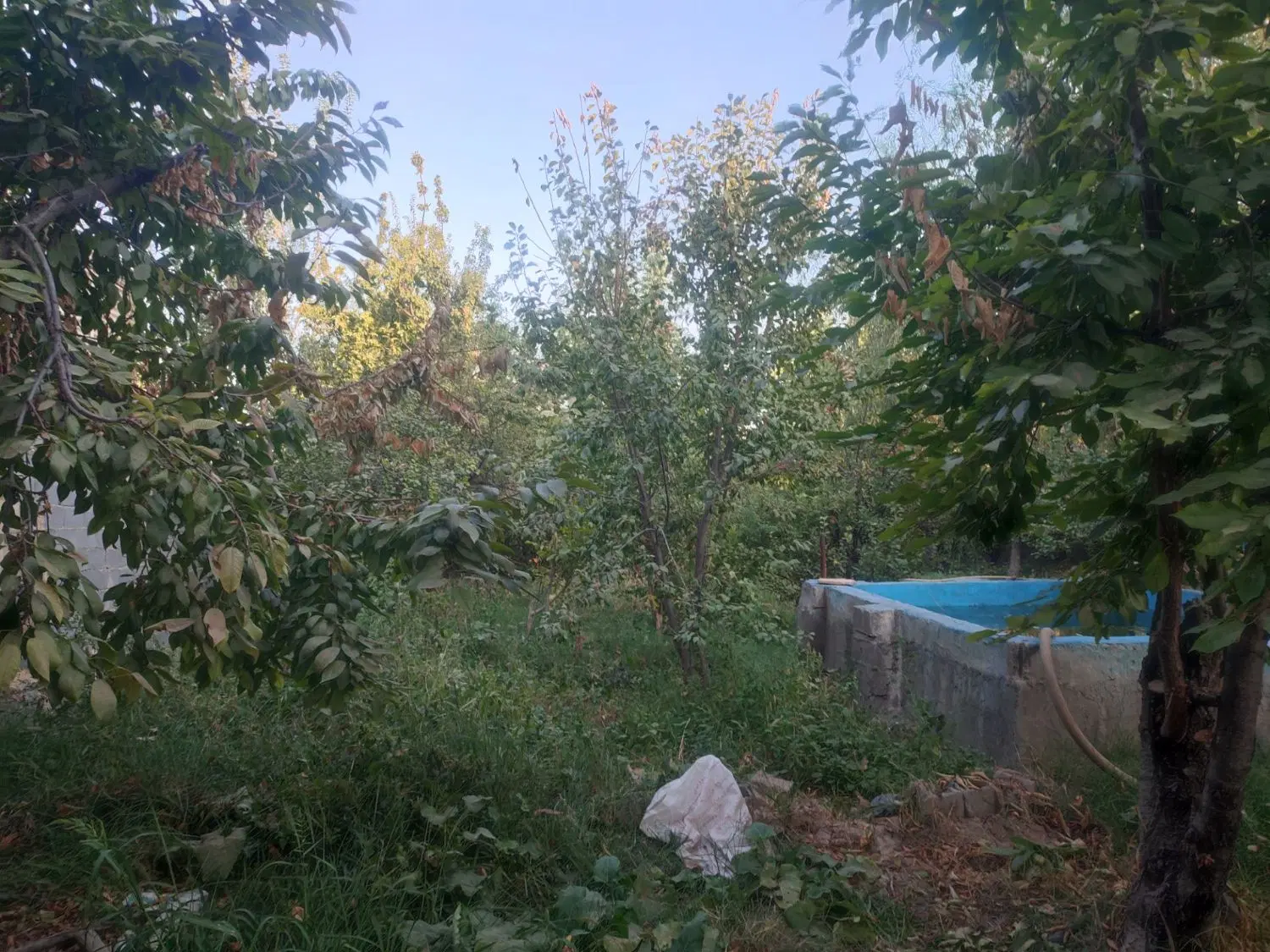 باغ فروشی