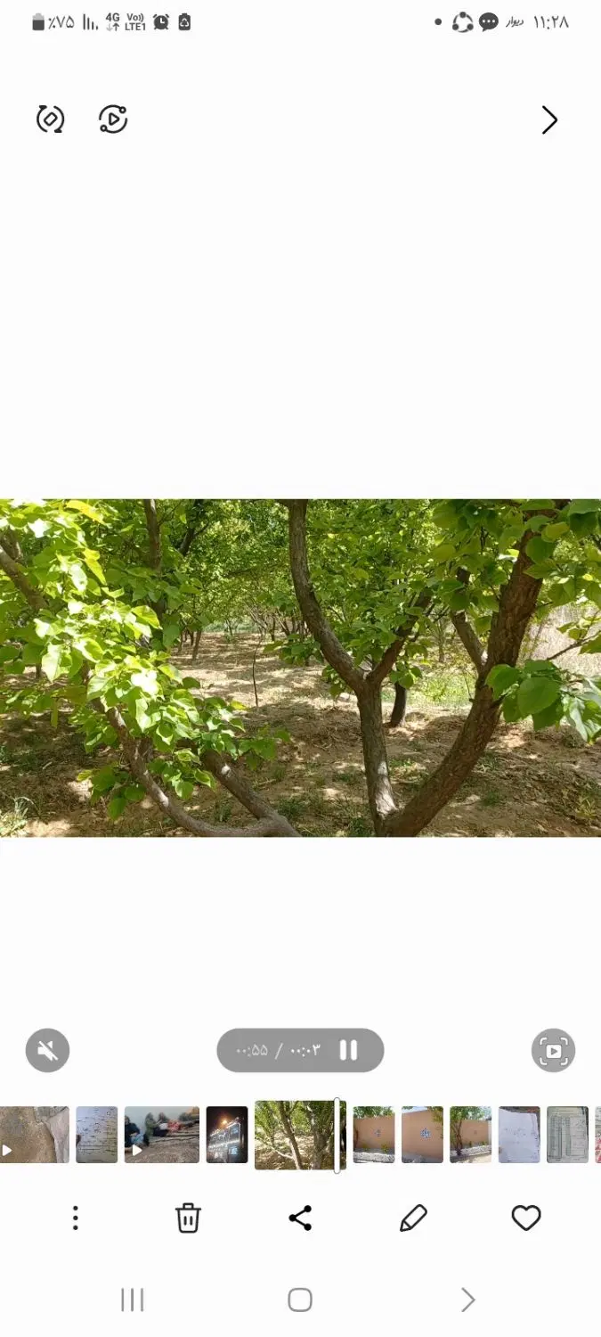 ۳۰۰ متری قلعه سفید
