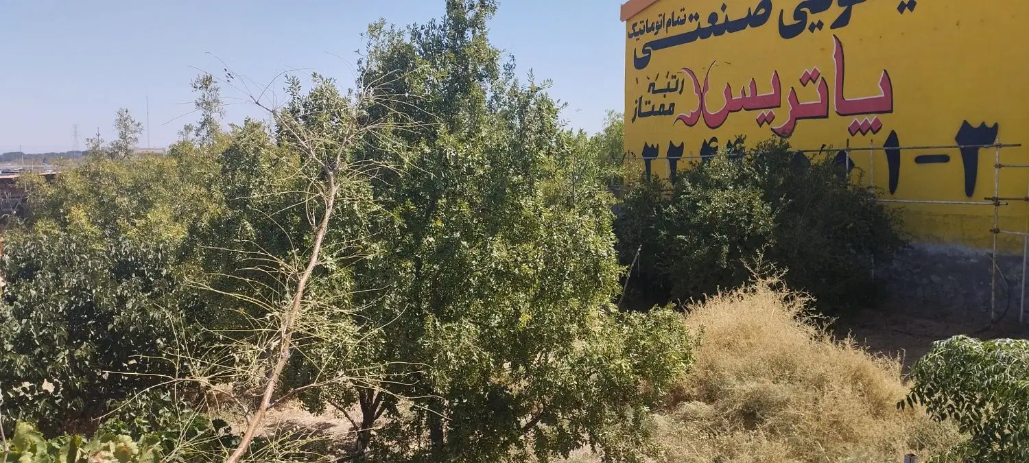 باغ شمس آباد