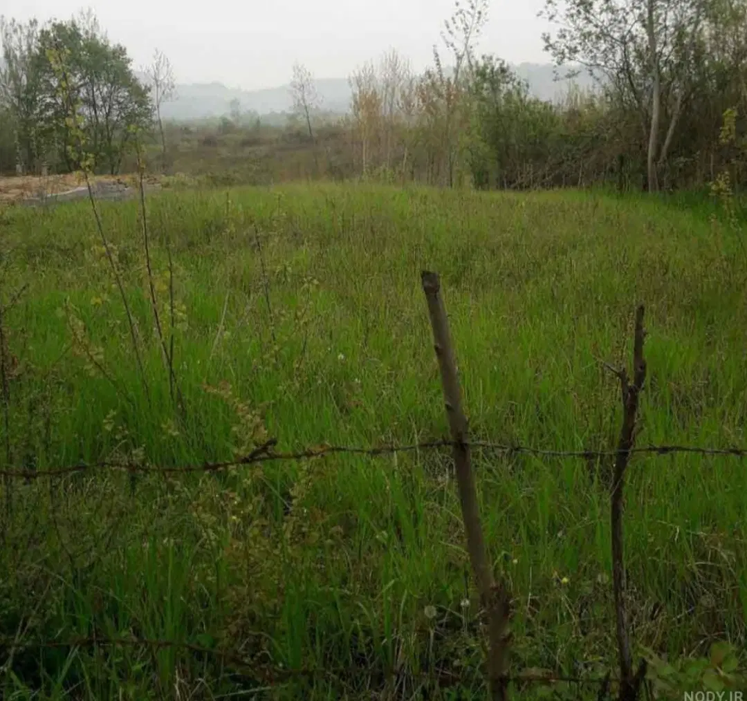 زمین باغی