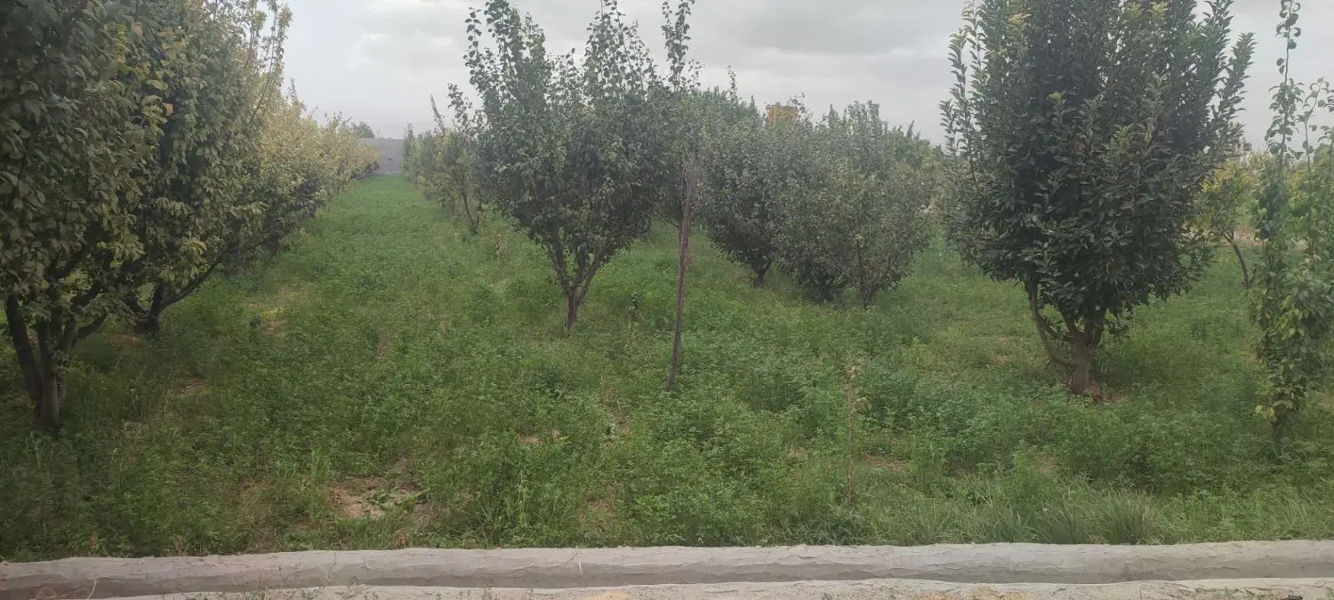 فروش ملک