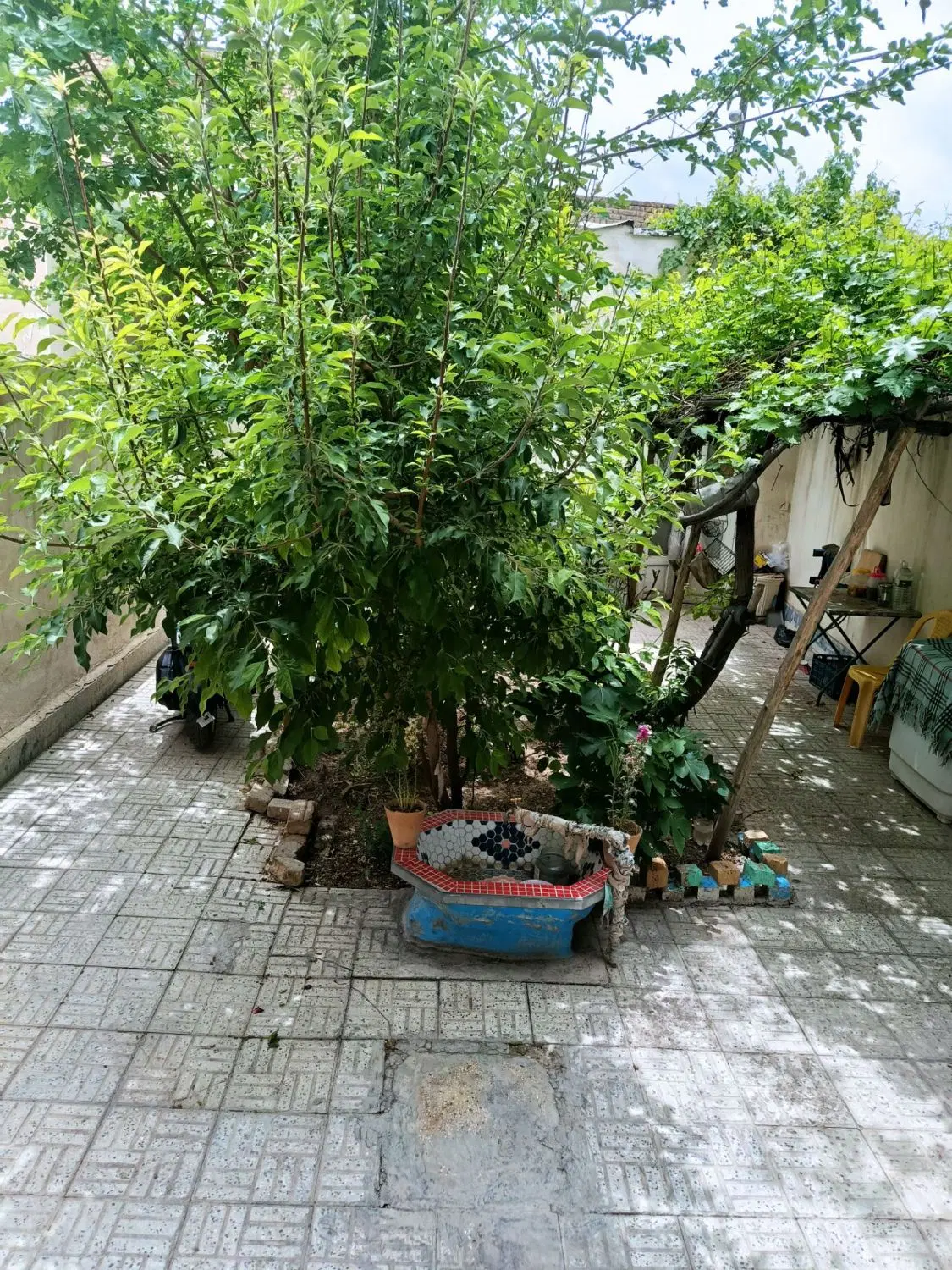فروش ملک کلنگی