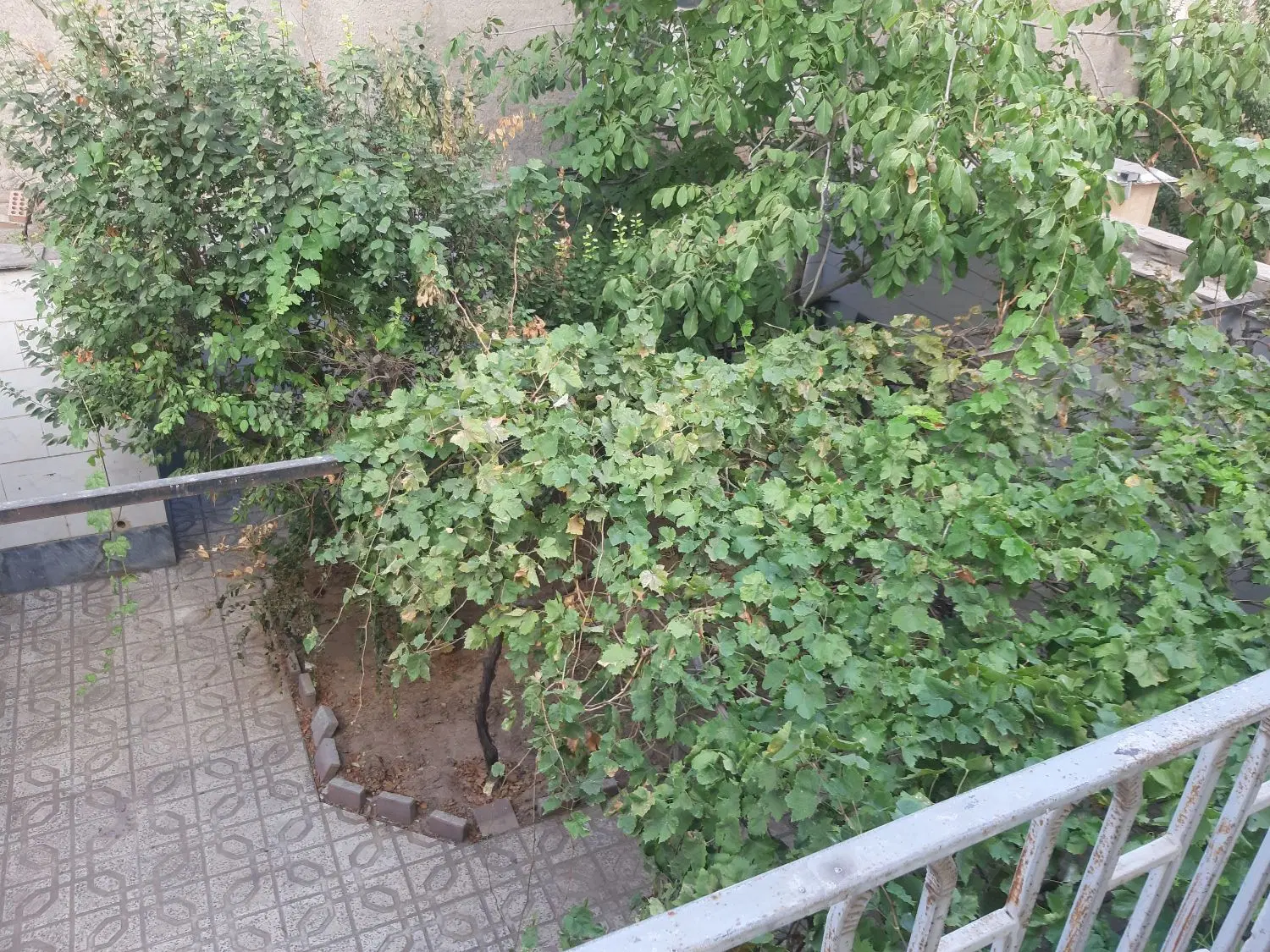 واحد ۱۱۱ متری زمین شهرداری امام سجاد