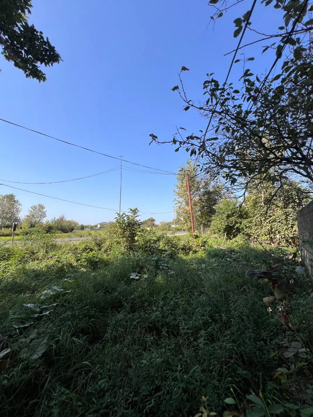 زمین یا خانه کلنگی  روستایی در صومعه سرا