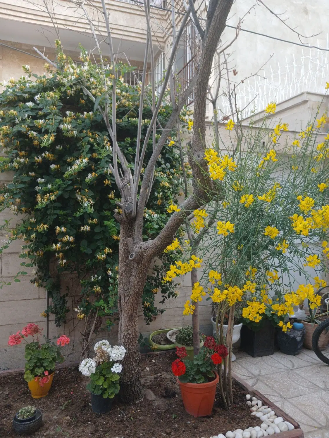 ویلایی دو طبقه مجزا مناسب دو خانواده_دوکله _تهاتر