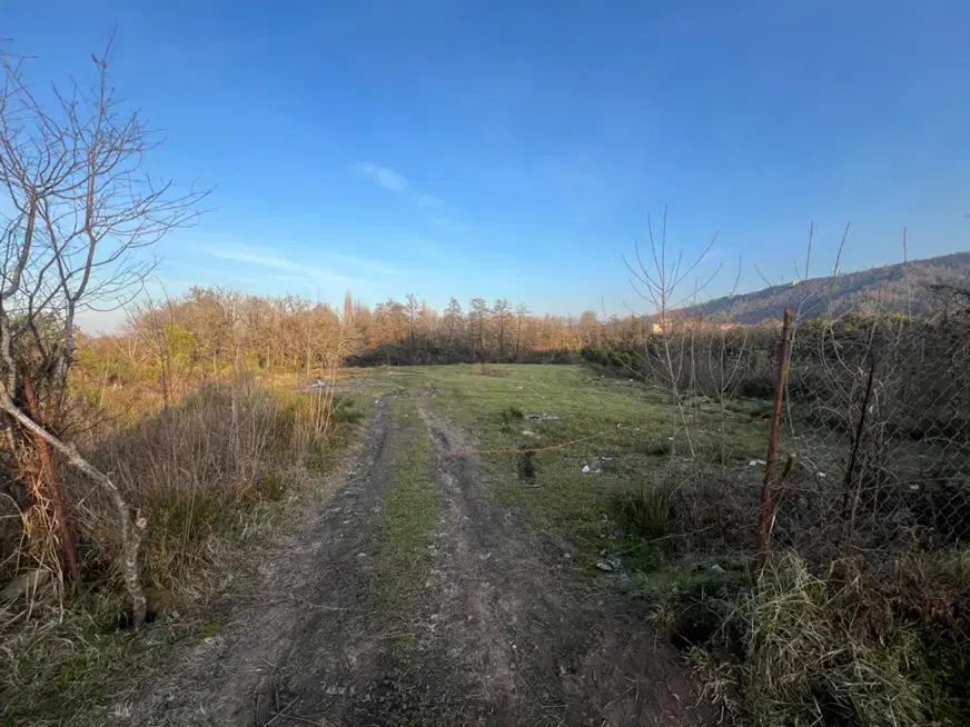 زمین باغی کشاورزی