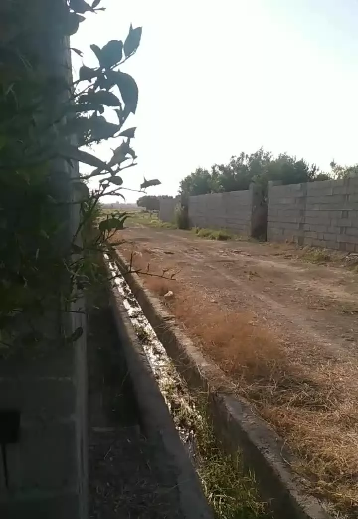 فروش یا معاوضه باغ با درختان عالی بن جعفر دزفول