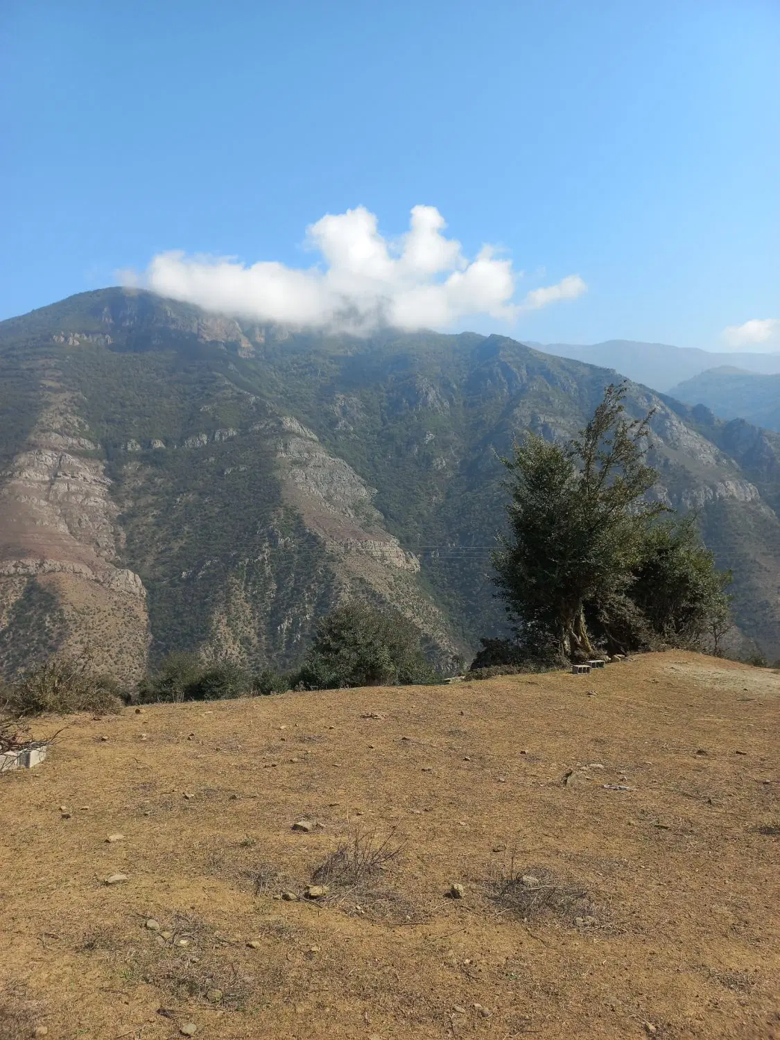 زمین فروشی ۵۱۰ متر.شمال