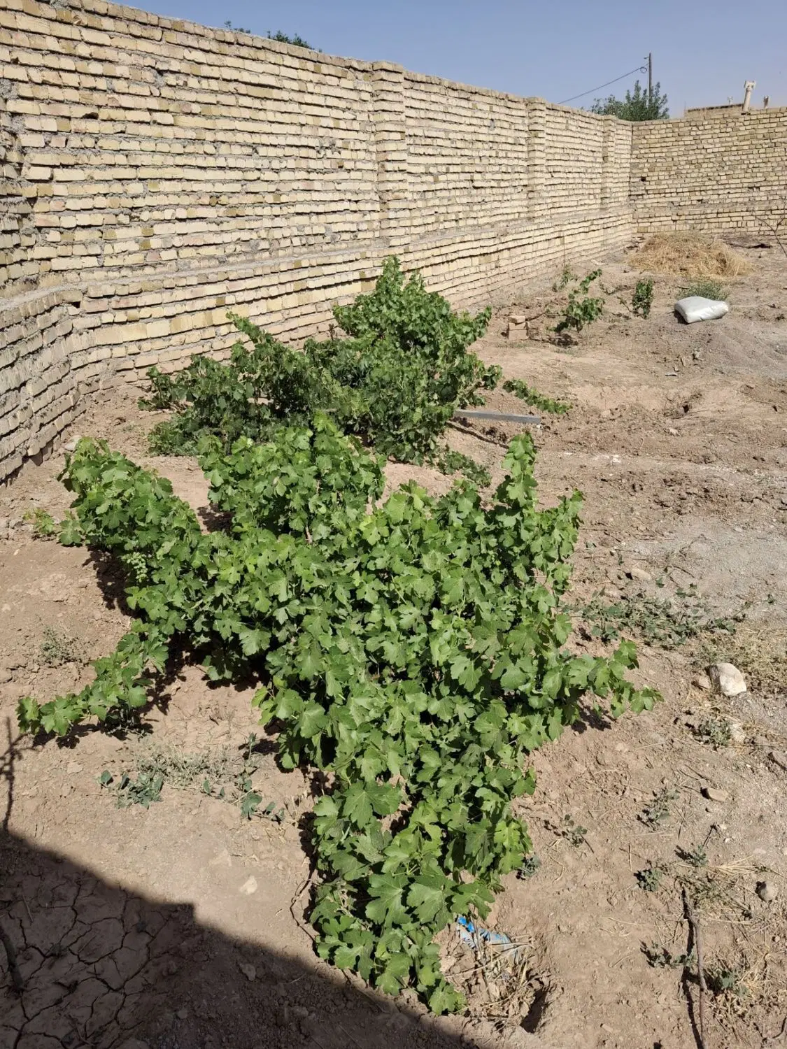 خونه روستایی