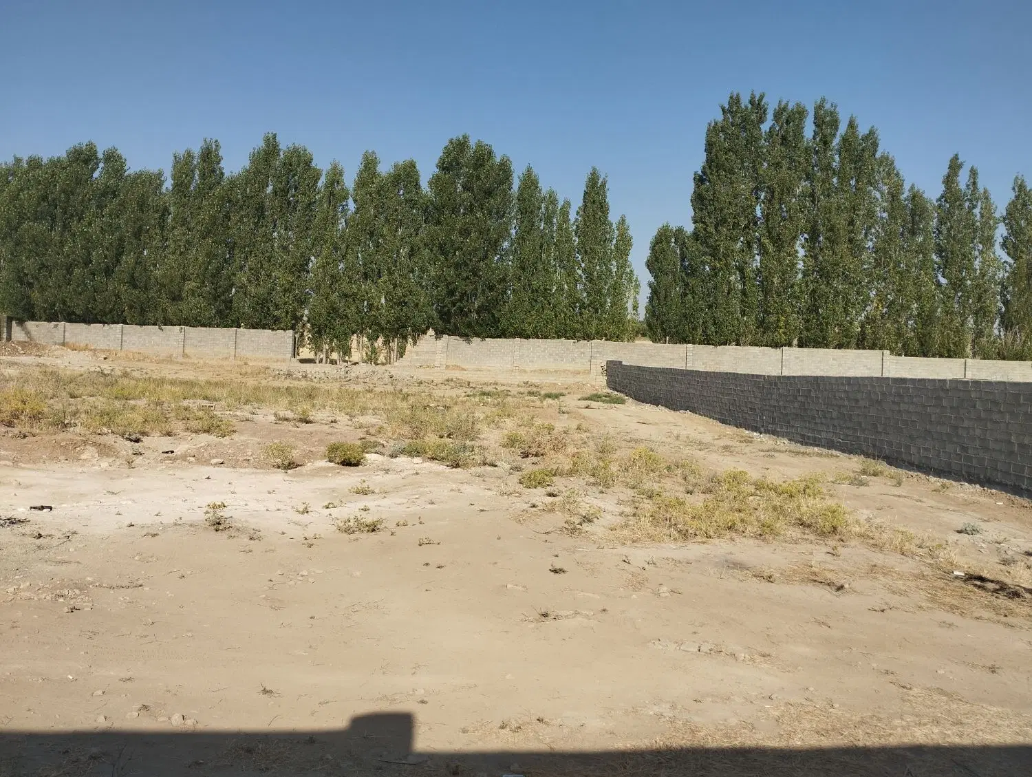 خانه باغ   دیوار کشی تغیرکاربری شد