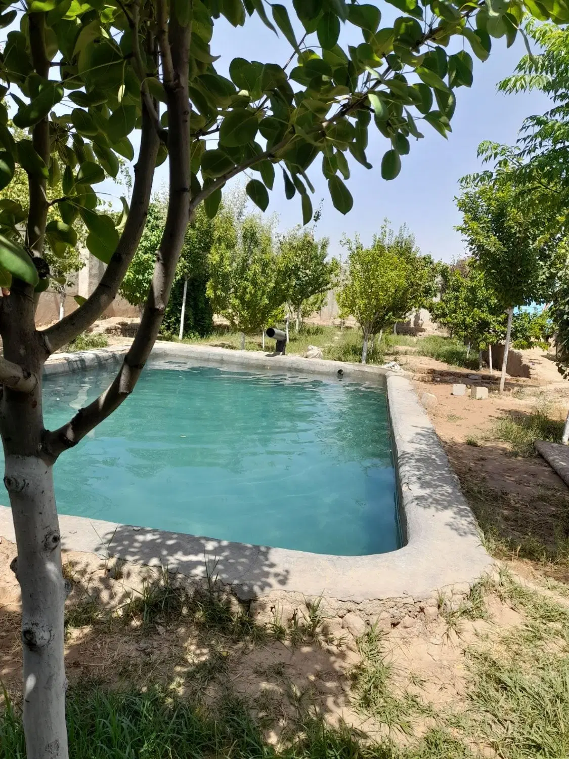 باغ در گنبدباز مسگران