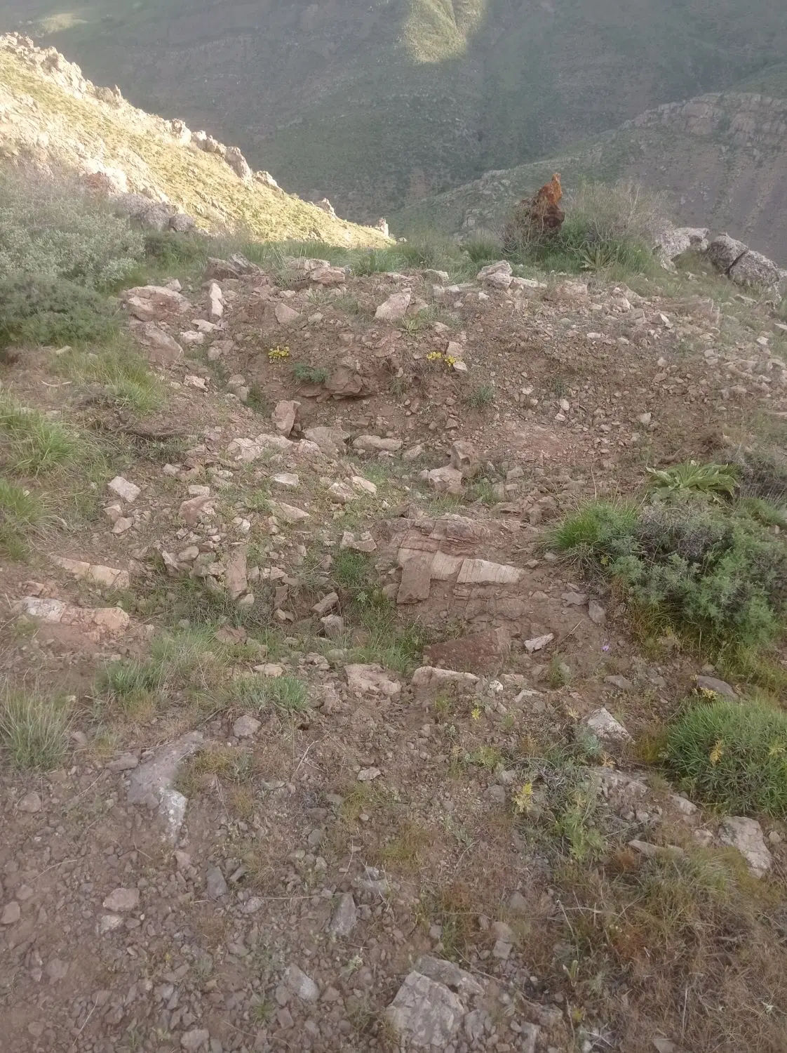 زمین روبروی پلیس راه