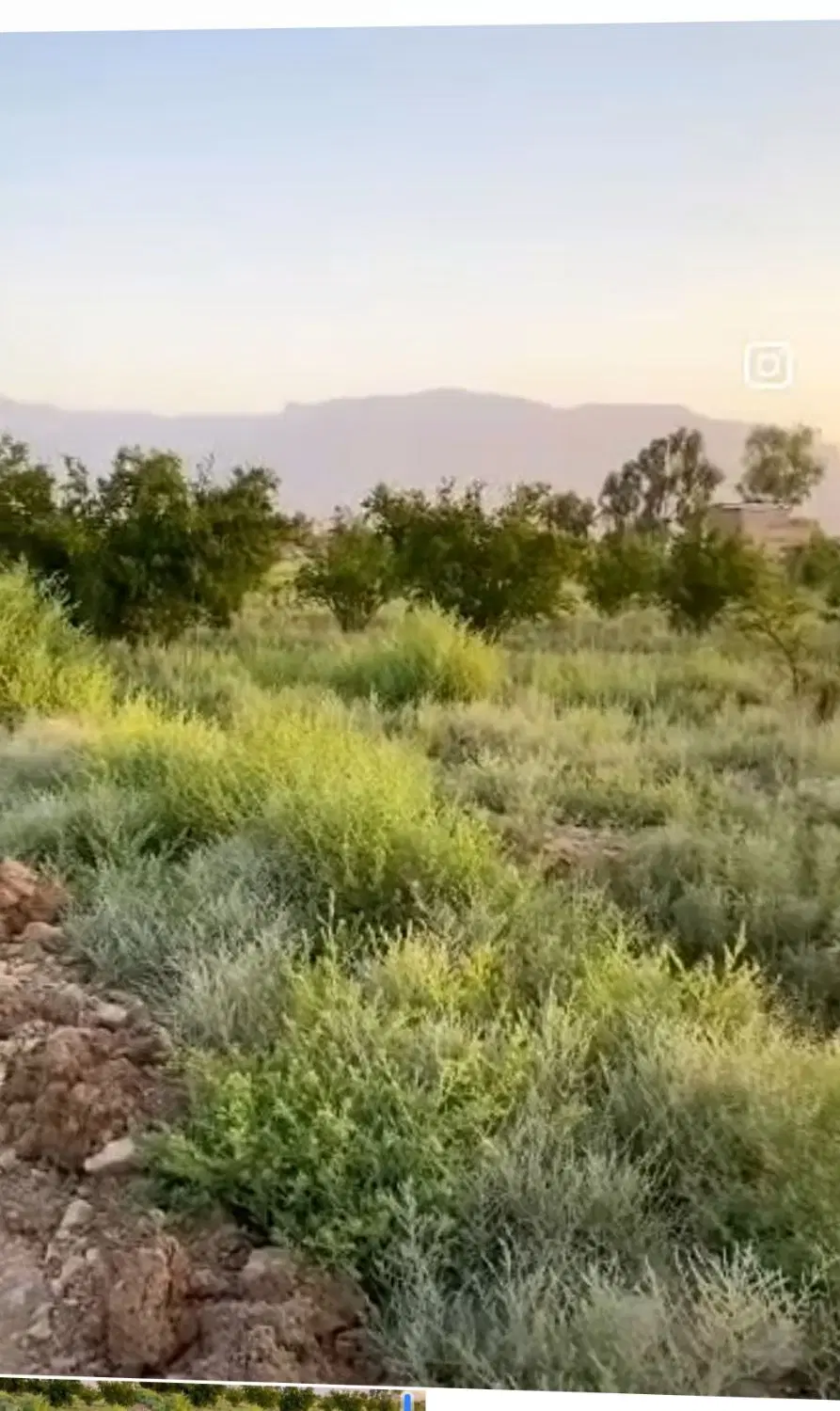 فروش باغ نیمرود