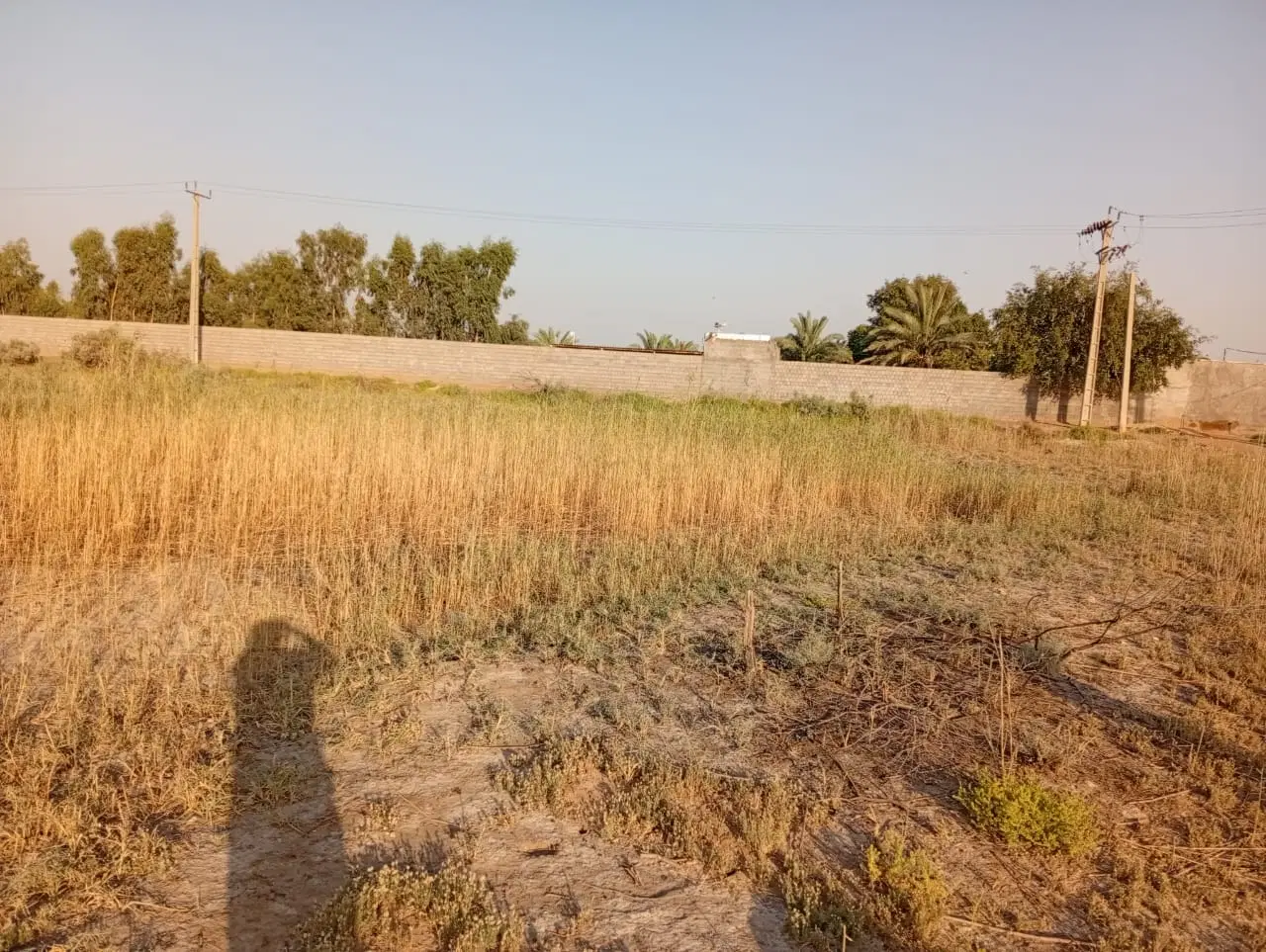 زمین برای ساخت وساز