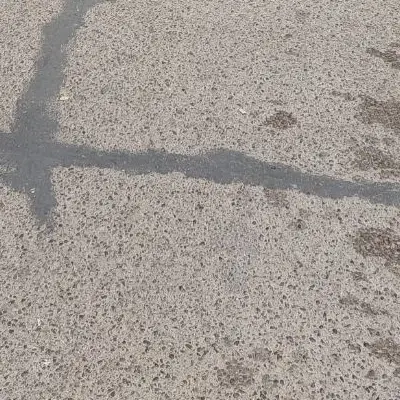 زمین مهرگان