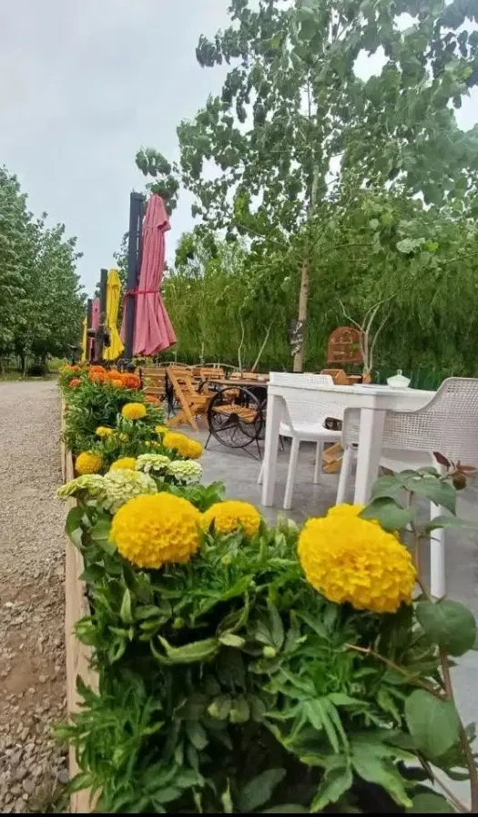 سودازخریدشروع میشود،ویلای آماده انتقال