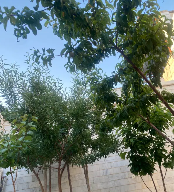 خانه ویلایی جاده شهرک